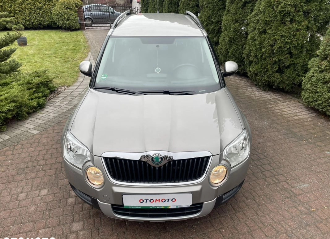 Skoda Yeti cena 39800 przebieg: 174000, rok produkcji 2013 z Strzelce Opolskie małe 562
